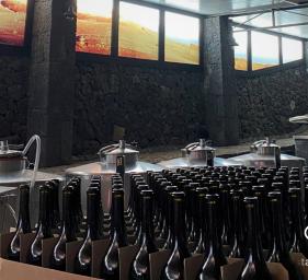 Why are more and more foreign investors choosing Mendoza’s land?